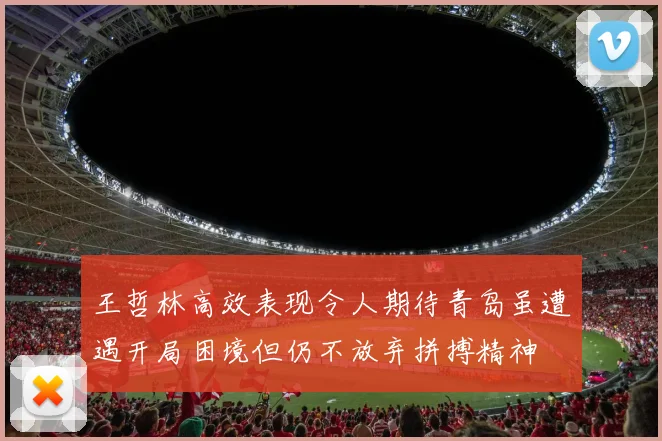 王哲林高效表现令人期待青岛虽遭遇开局困境但仍不放弃拼搏精神