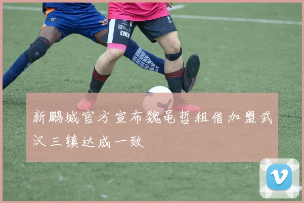 新鹏城官方宣布魏黾哲租借加盟武汉三镇达成一致