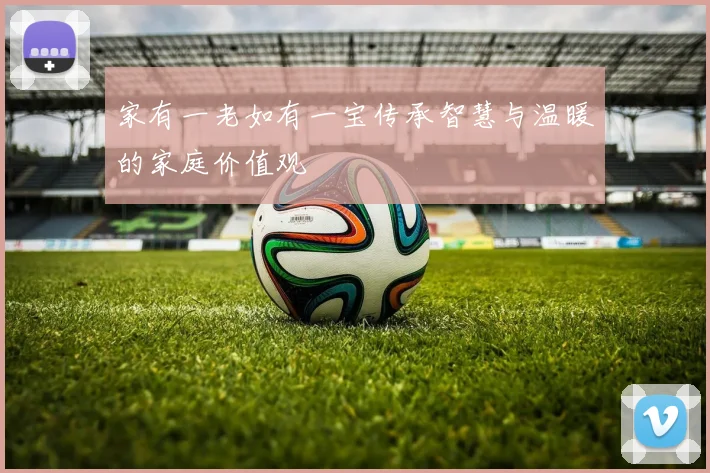 家有一老如有一宝传承智慧与温暖的家庭价值观