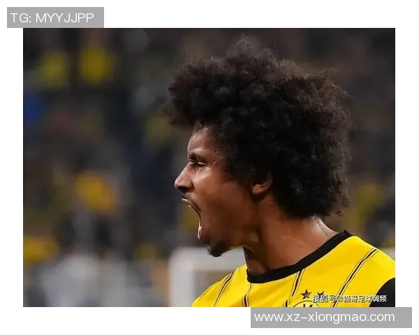 多特蒙德球员身价大幅波动阿德耶米领涨1500万欧元